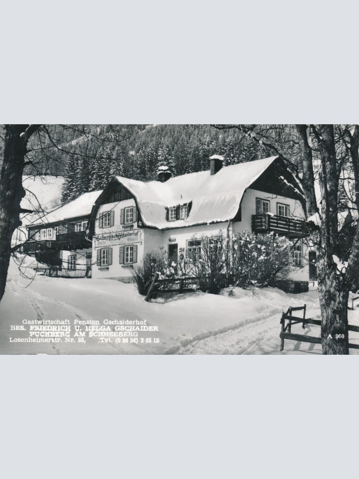 AK aus Puchberg am Schneeberg mit Pension Gschaiderhof Niederösterreich (6165)