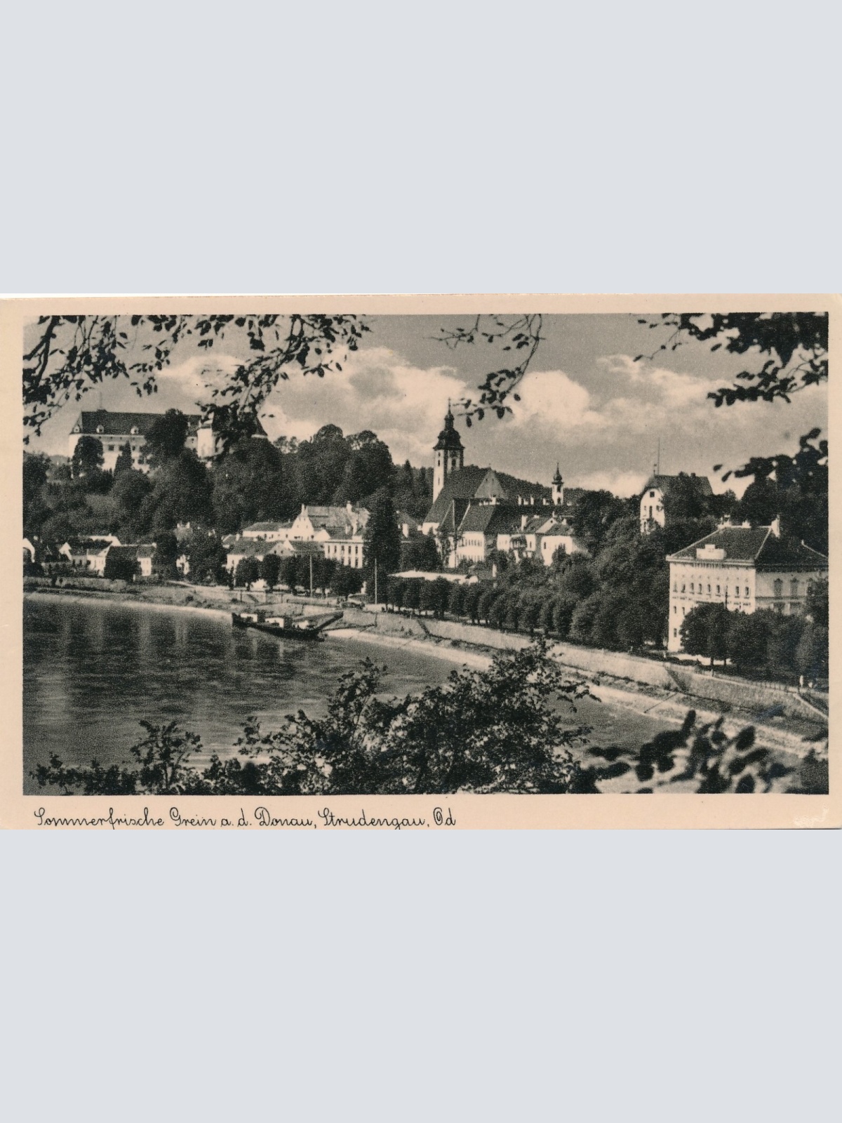 AK aus Grein an der Donau Oberösterreich (6786)