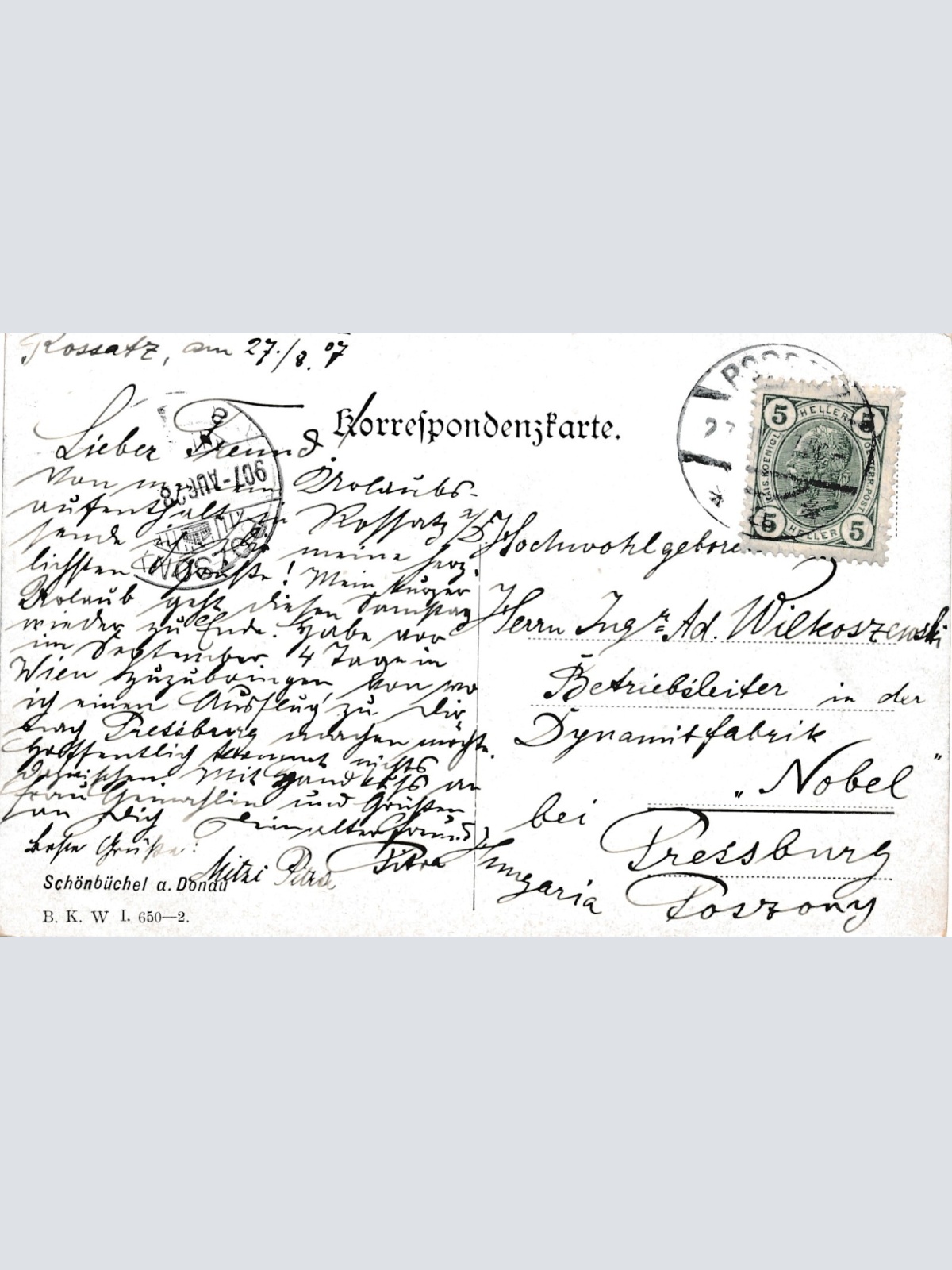 AK aus Schönbühel an der Donau mit Schloss Niederösterreich (6991)