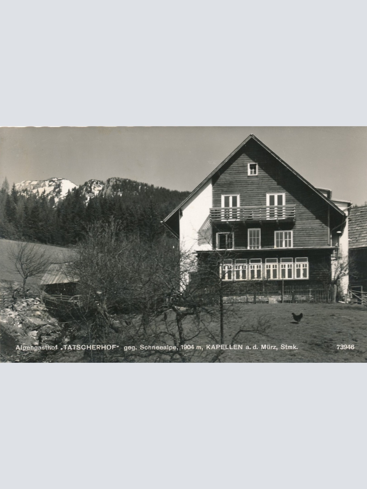 AK vom Alpengasthof Tatscherhof Steiermark (7011)