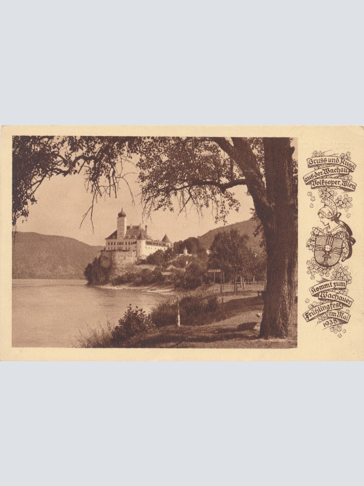 AK aus Schönbühel an der Donau mit Schloss Niederösterreich (6974)