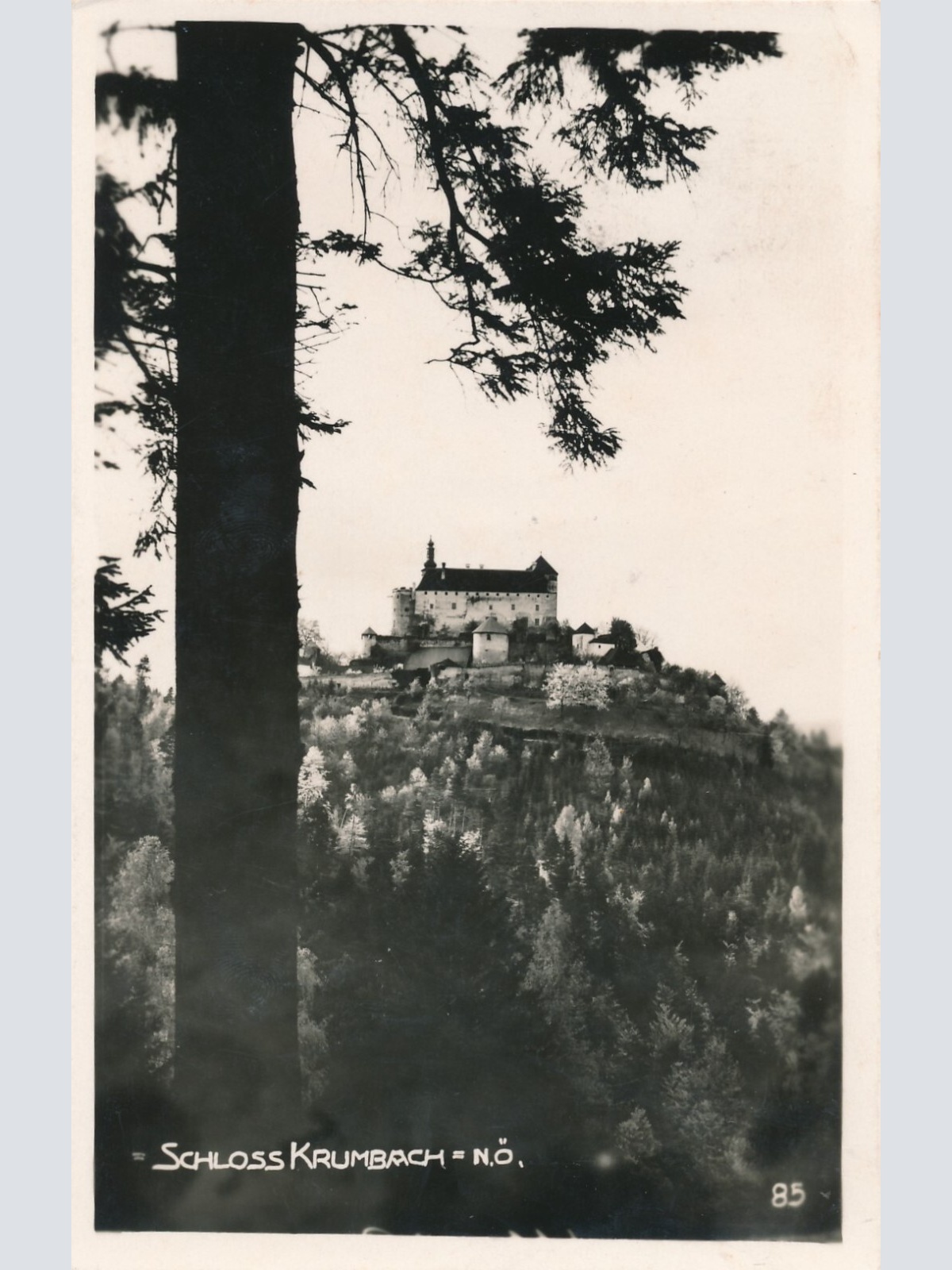 AK vom Schloss Krumbach Niederösterreich (7413)