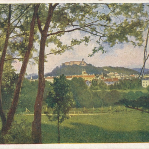 AK aus Laibach Slowenien (6445)
