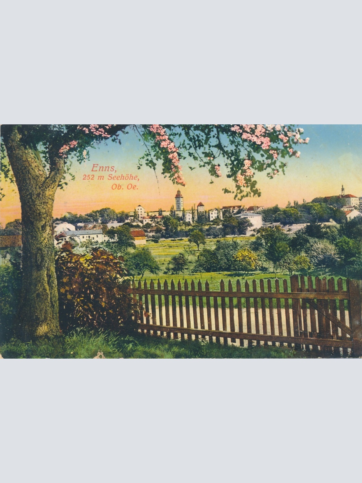 AK aus Enns Oberösterreich (6708)