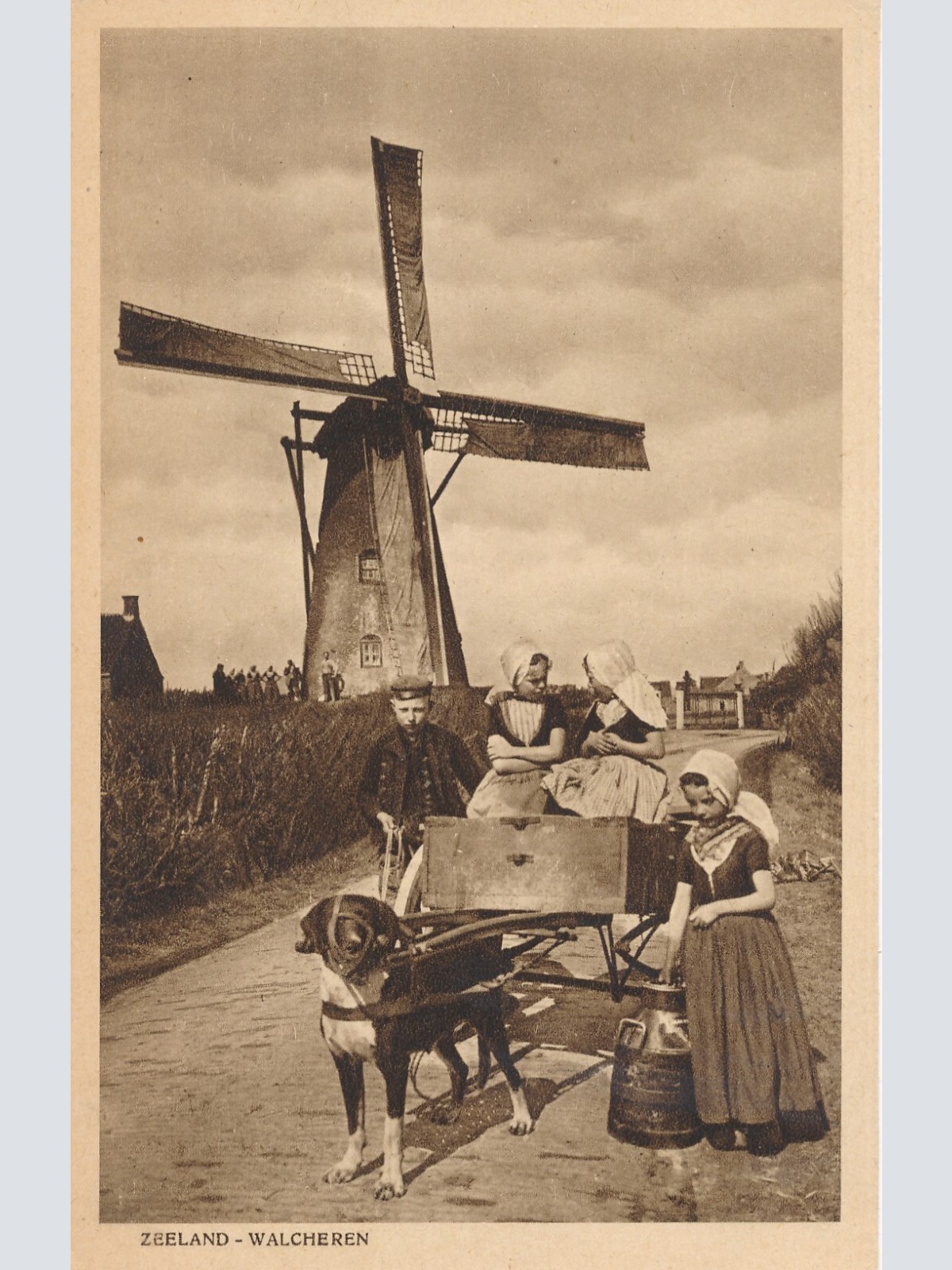 AK aus Zeeland Walcheren Holland mit Mühle und Hundekarren - Hundewagen (6505)