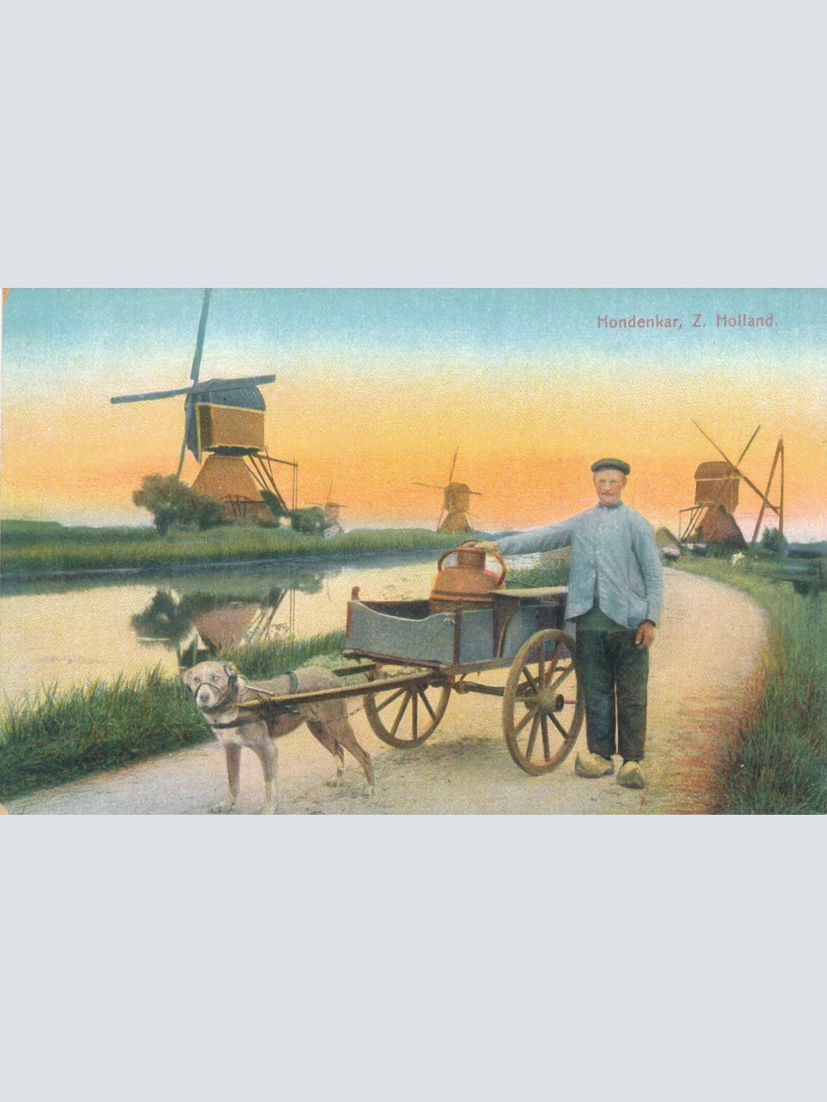 AK aus Holland mit Mühle und Hundekarren - Hundewagen Hondekar (6506)