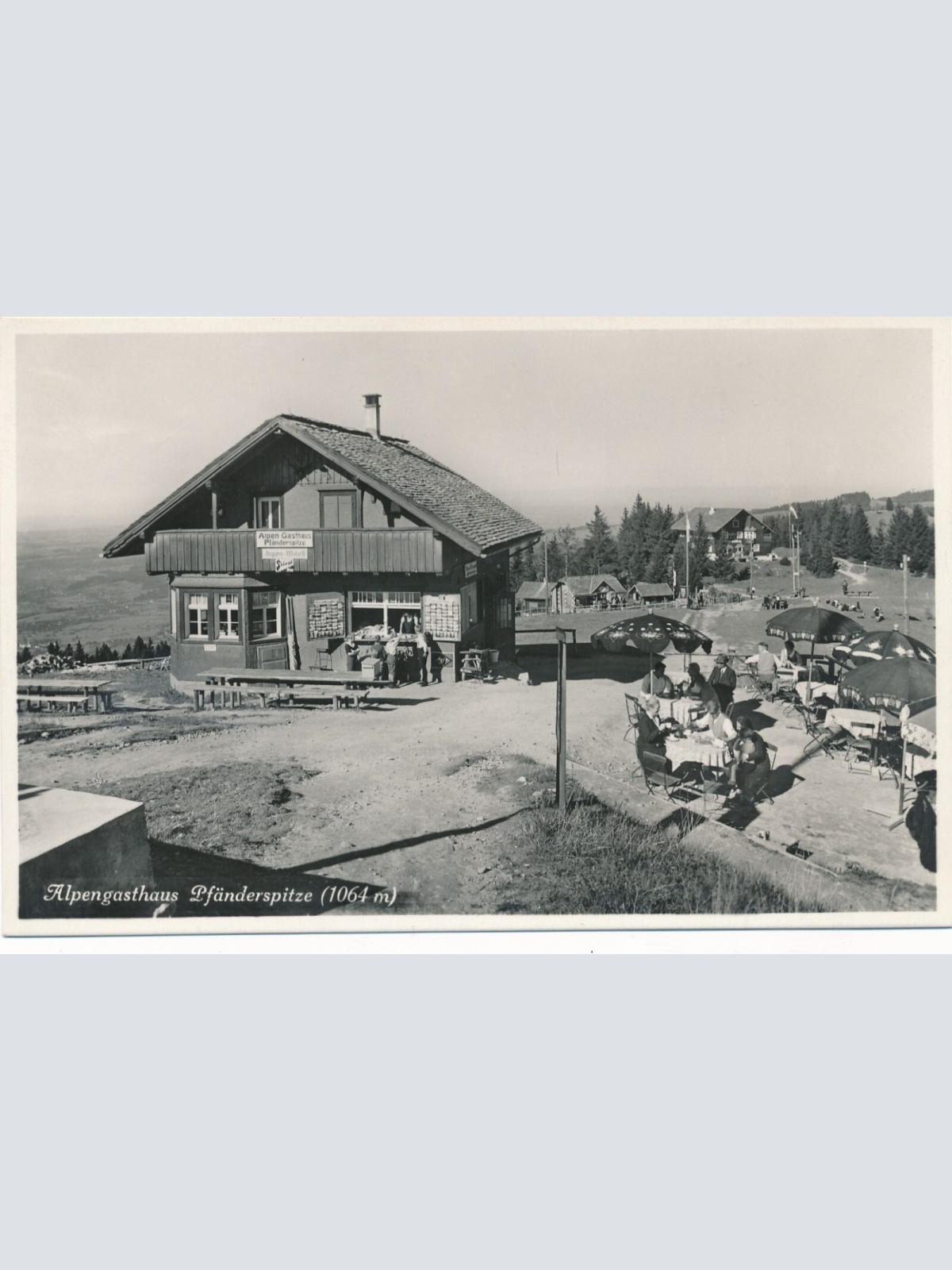 AK vom Alpengasthaus Pfänderspitze Vorarlberg (7708)
