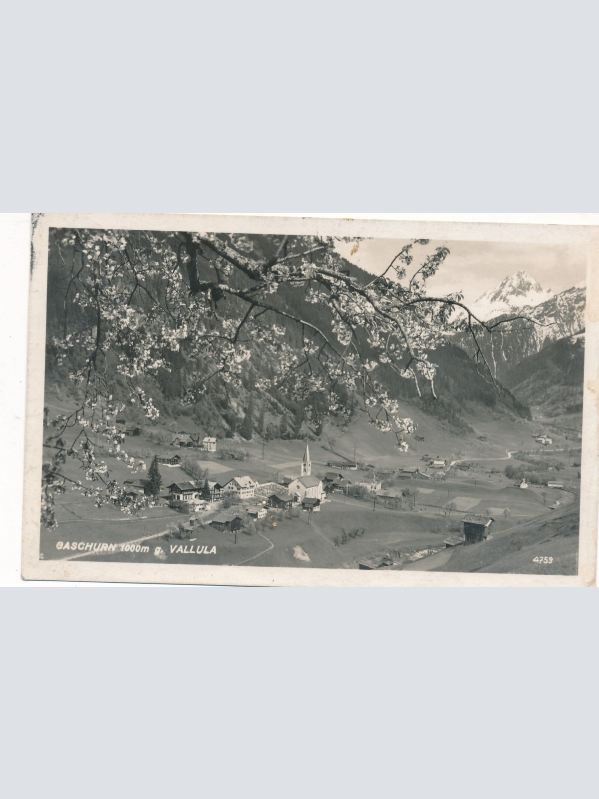 AK aus Gaschurn Vallula Vorarlberg (7711)