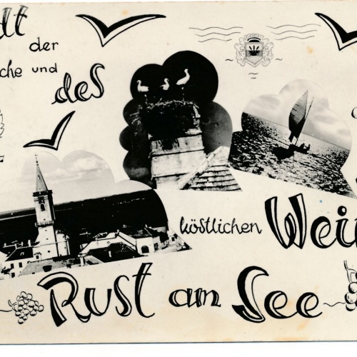 AK aus Rust am See die Stadt der Störche Burgenland (7109)