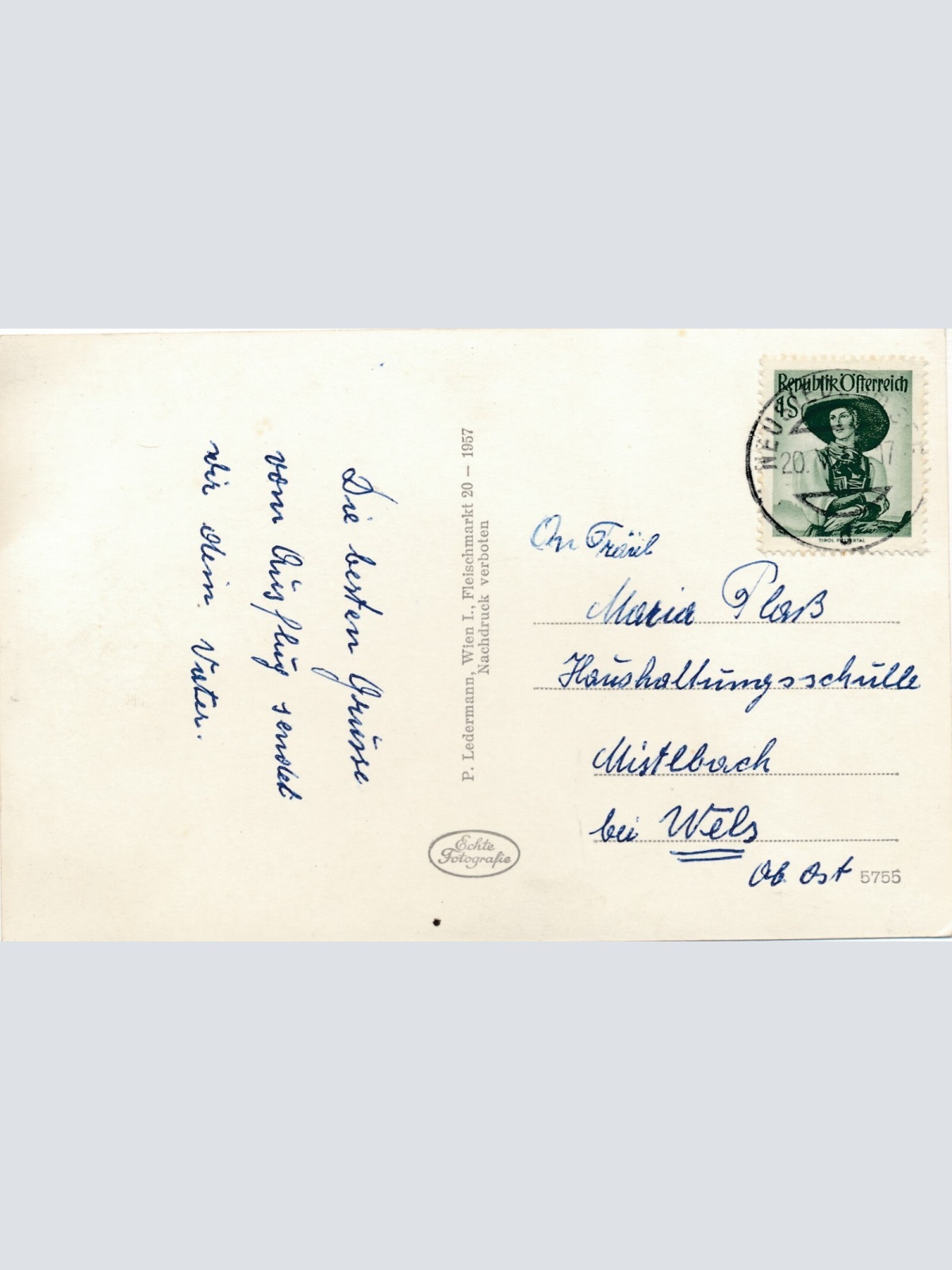 AK vom Neusiedlersee Mehrbildkarte Brugenland (7511)