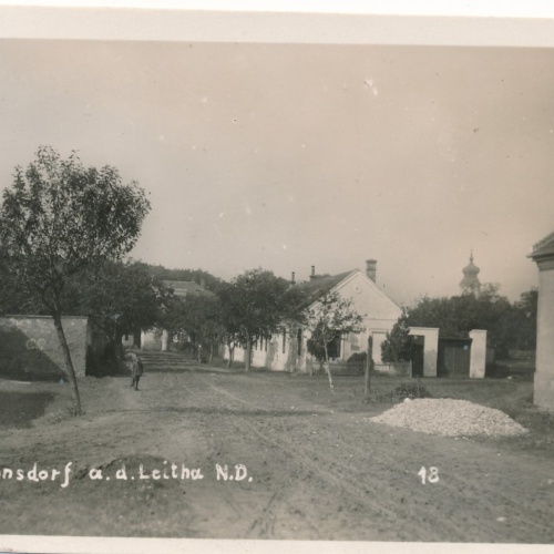 AK aus Trautmannsdorf Niederösterreich (7884)