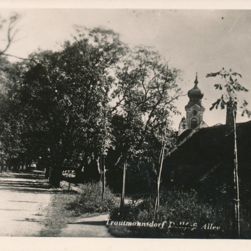 AK aus Trautmannsdorf Niederösterreich (7886)