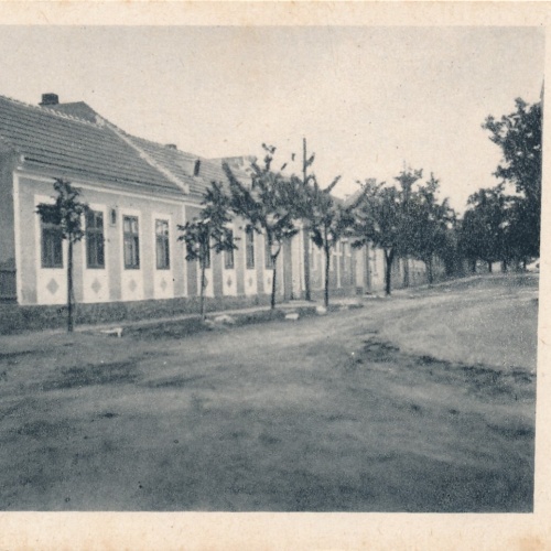 AK aus Trautmannsdorf Niederösterreich (7875)