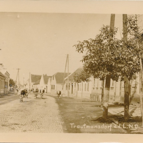 AK aus Trautmannsdorf Niederösterreich (7880)