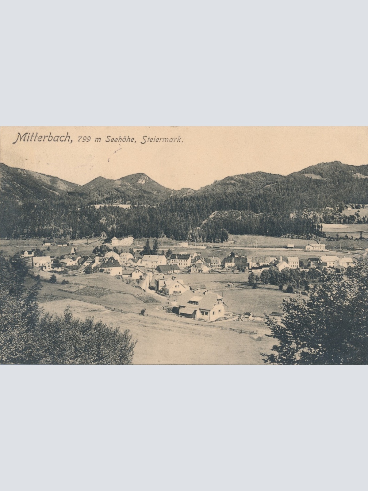 AK aus Mitterbach Steiermark (8046)