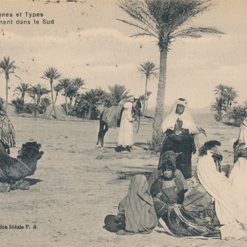 AK aus Algerien Scenes et Types mit Kamel Afrika (7770)