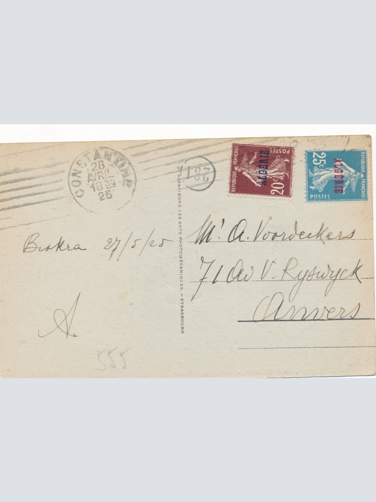 AK aus Algerien Scenes et Types mit Kamel Afrika (7773)