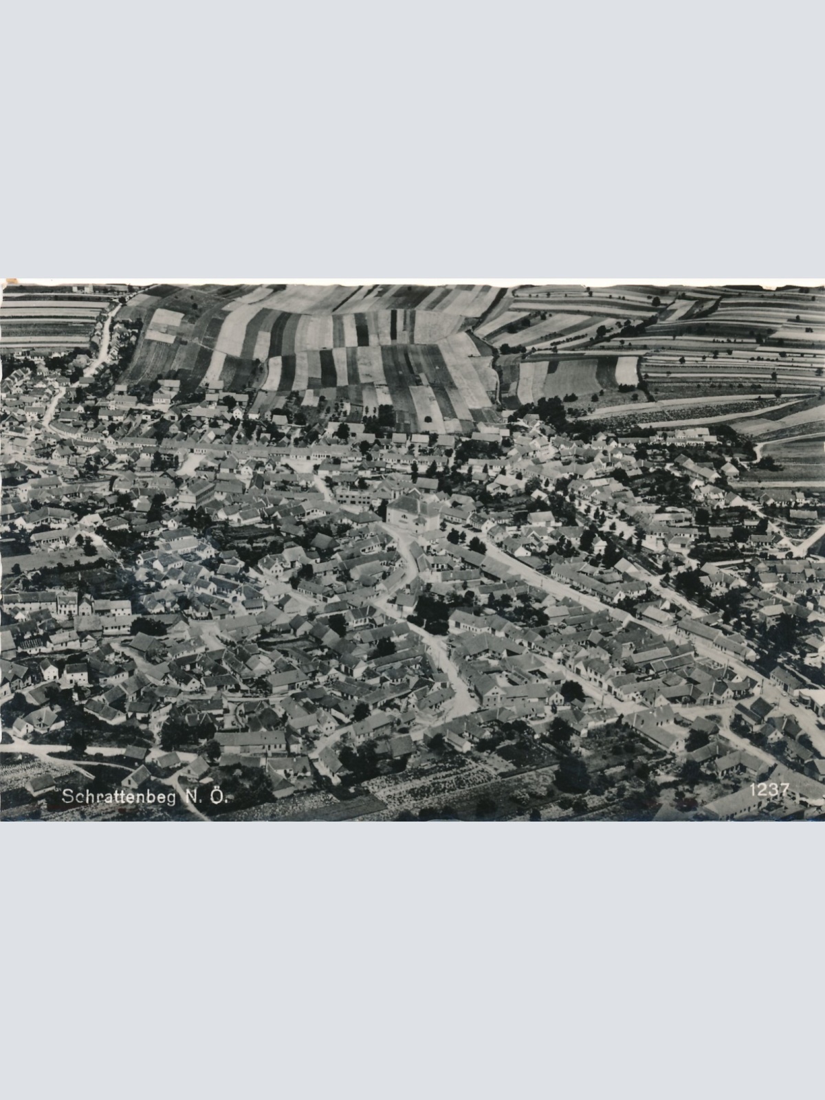 AK aus Schrattenberg Niederösterreich (7845)