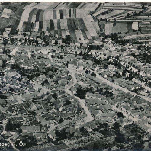 AK aus Schrattenberg Niederösterreich (7845)