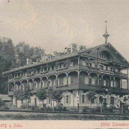 AK aus Puchberg mit Hotel Schneeberg Niederösterreich (6650)