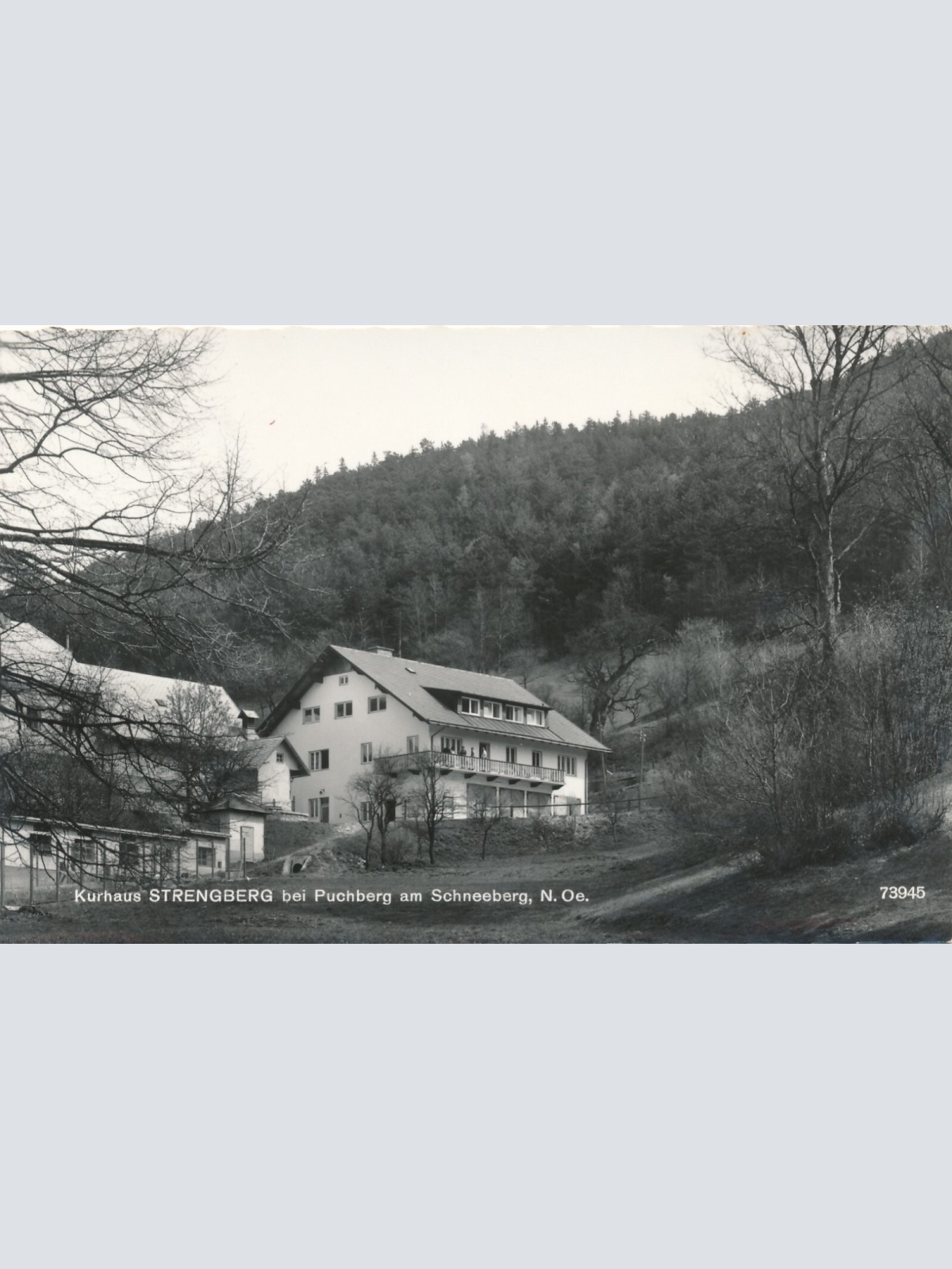 AK vom Kurhaus Strengberg bei Puchberg am Schneeberg Niederösterreich (6651)