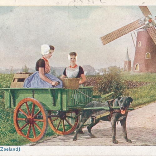 AK aus Zeeland mit Hundekarren - Hondenkar Niederlande (6567)