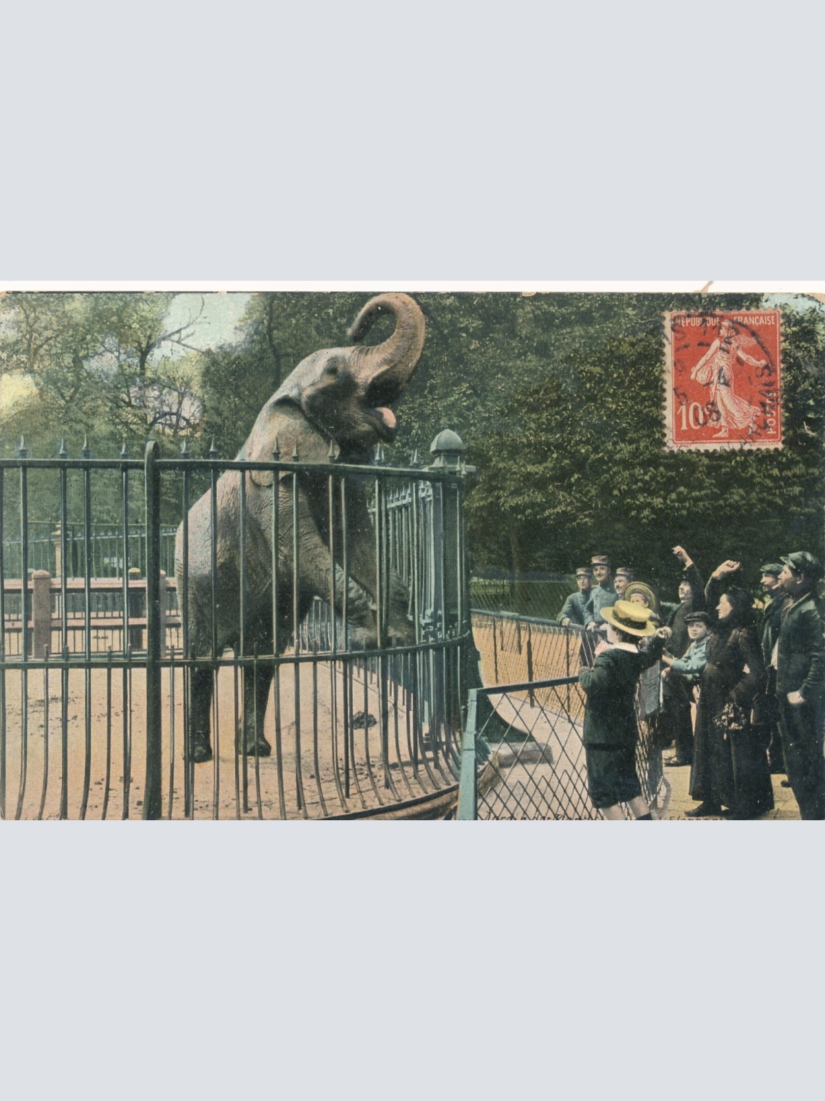 AK aus Paris von einem Zoo mit Elefant Frankreich (6583)