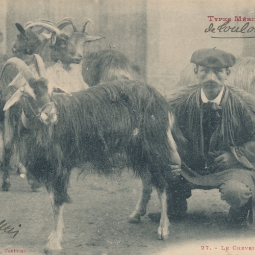 AK von einem Ziegenhirten mit Ziege Frankreich (6591)