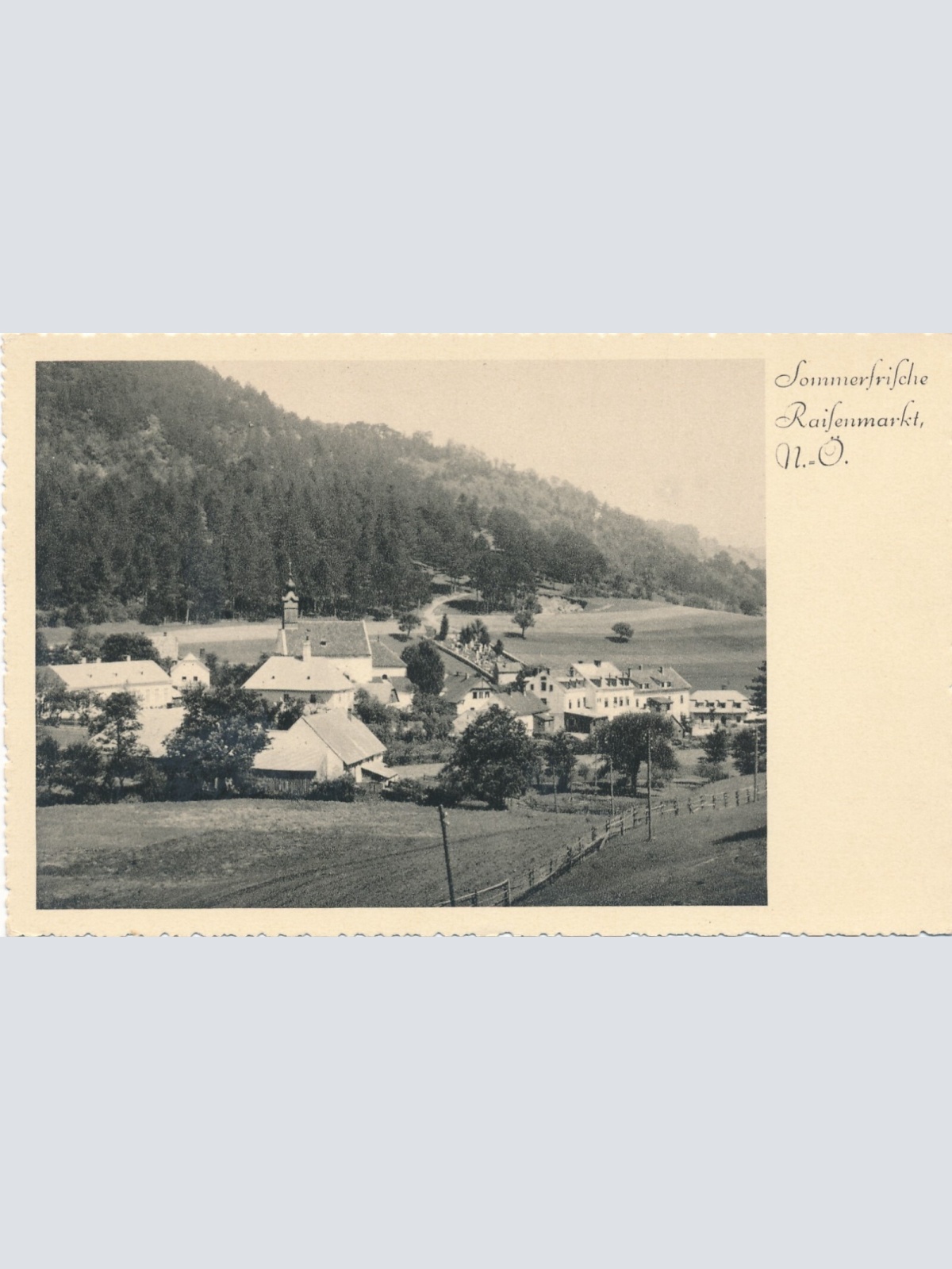 AK aus Raifenmarkt Niederösterreich Ansichtskarte (8122)