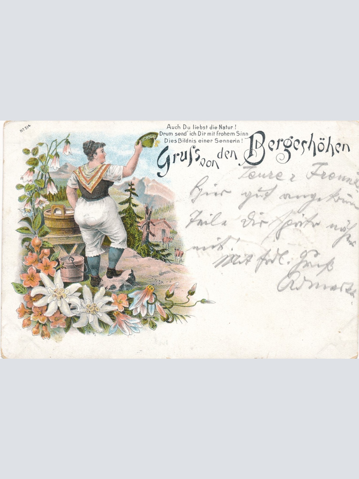 Litho - Karte gruss aus den Bergeshöhen mit Kuh Ansichtskarte (8633)