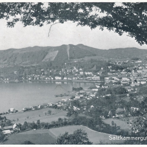 AK aus Gmunden Oberösterreich Ansichtskarte (8447)