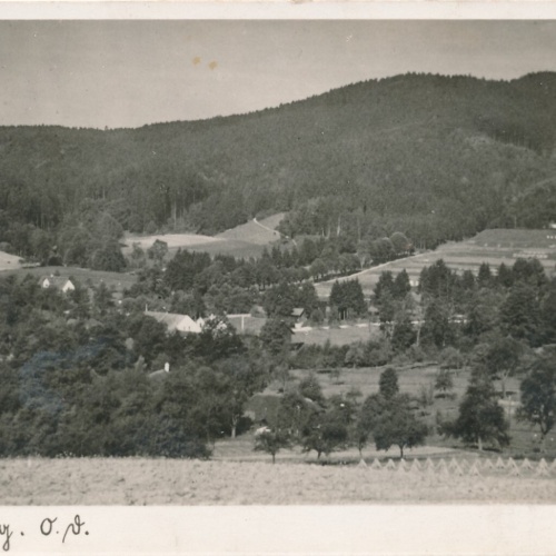 AK aus Alharting Oberösterreich Ansichtskarte (8932)