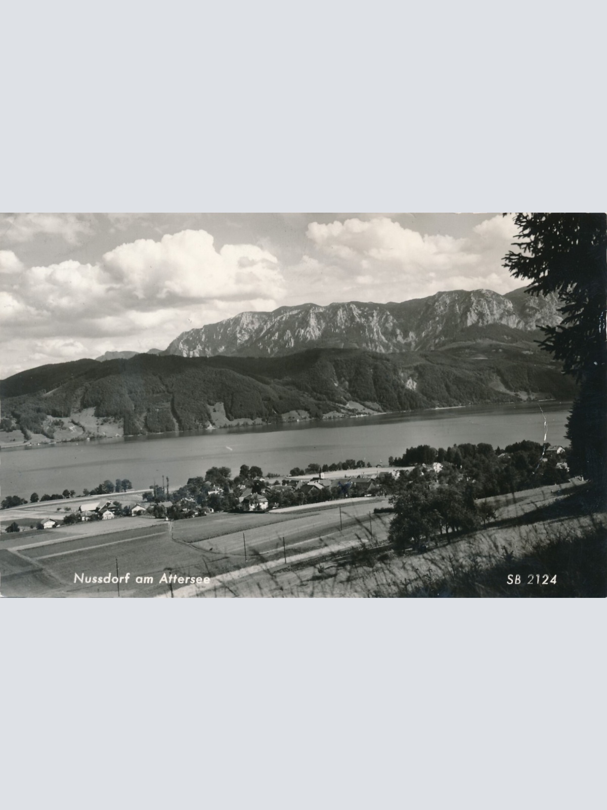 AK aus Nussdorf am Attersee Oberösterreich Ansichtskarte (8909)