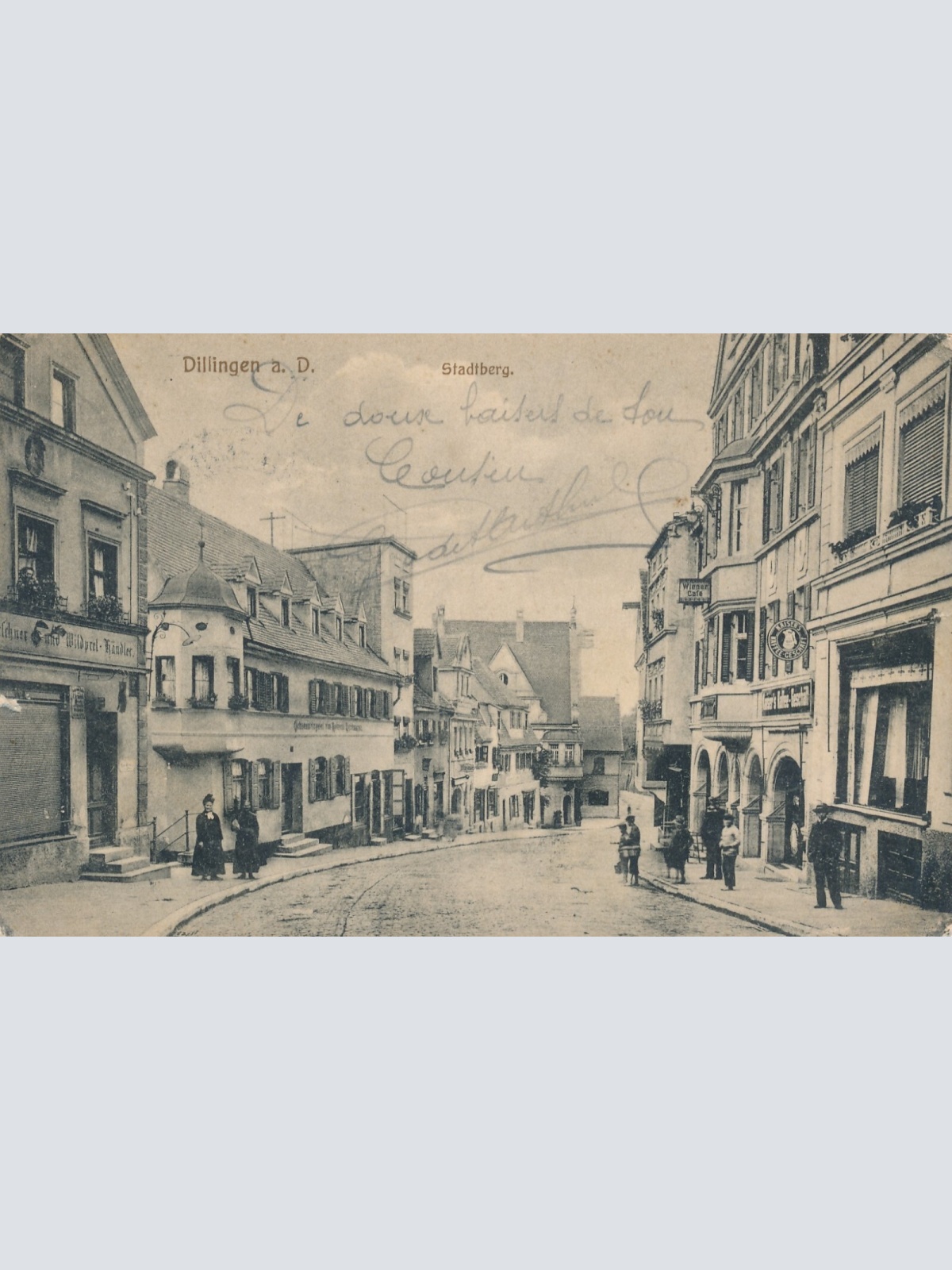 AK aus Dillingen Stadtberg Bayern (7271)