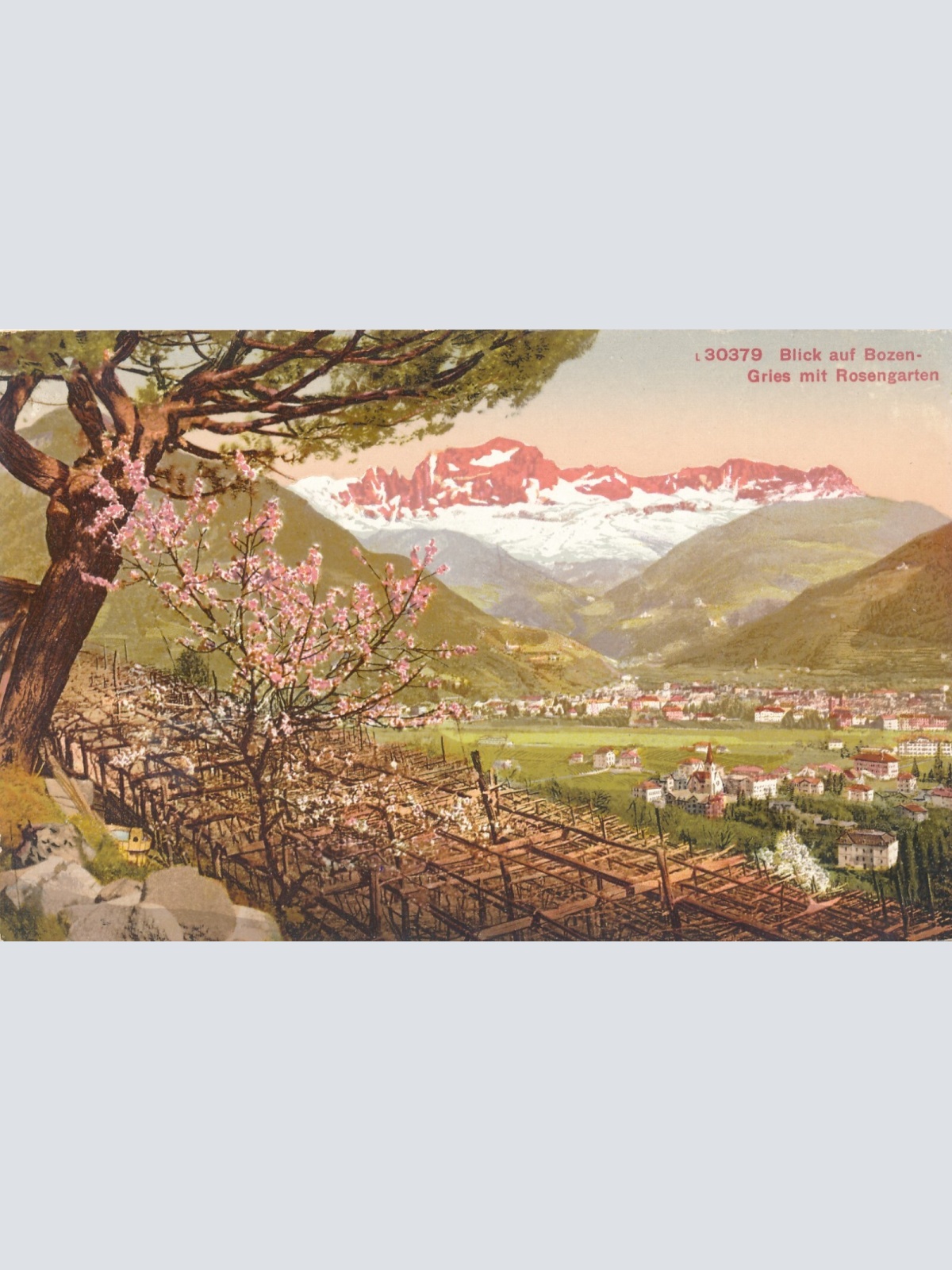 AK aus Bozen Gries mit Rosengarten Italien Ansichtskarte (8836)