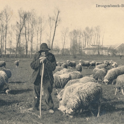 AK aus Droogenbosch - Bemt Paysage Belgien (9147)