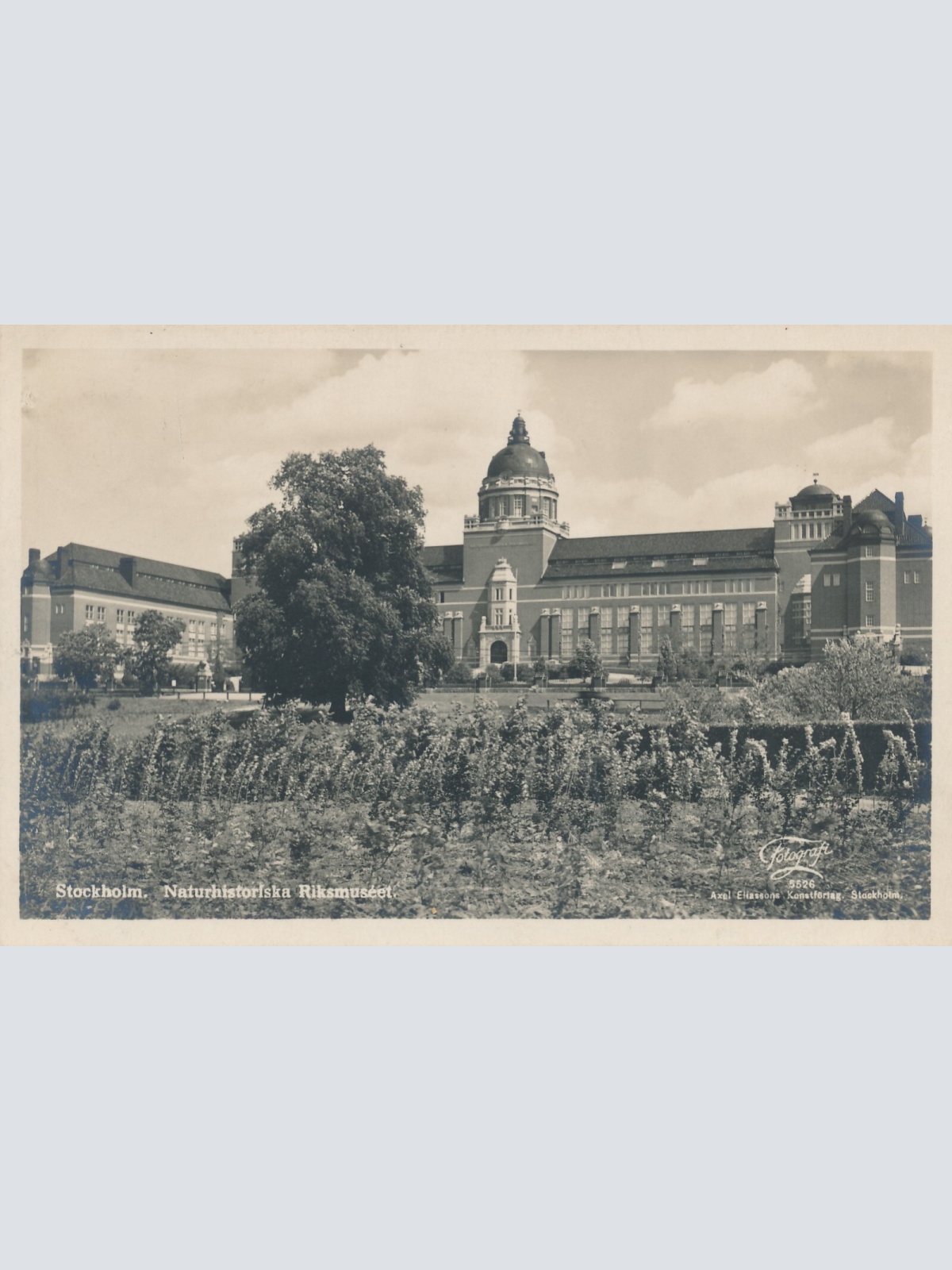 AK aus Stockholm Naturhistoriska Riksmuseet Schweden (7392)