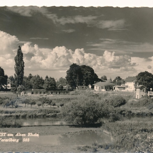 AK aus Höchst am Altem Rhein Vorarlberg Ansichtskarte (9219)