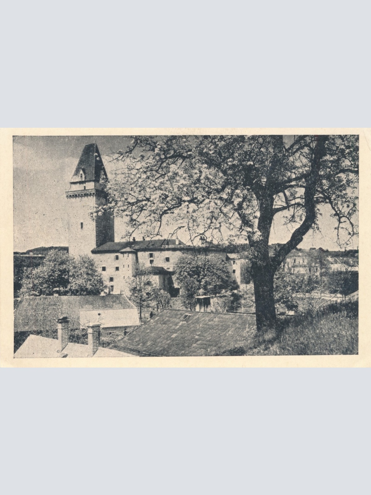 AK aus Freistadt Oberösterreich Schlossturm (J42)