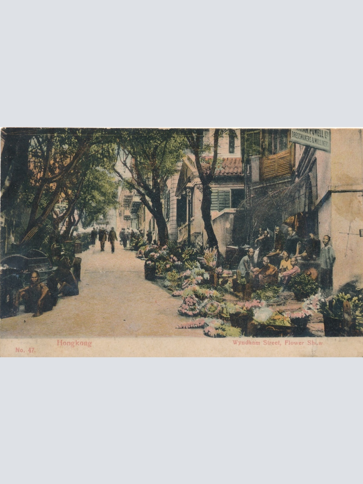 AK aus Hongkong Wyndham Street Flower Show China (7950)