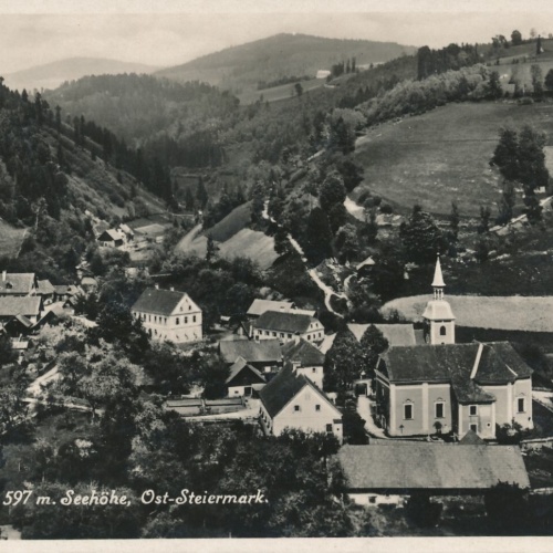 AK aus Mönichwald Steiermark Ansichtskarte (9506)