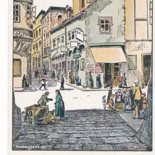 AK aus Wels Schmiedgaße Oberösterreich Ansichtskarte (9300)