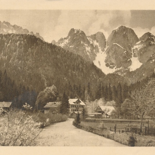 AK aus Gosau mit Donnerkogel Oberösterreich Ansichtskarte (9562)