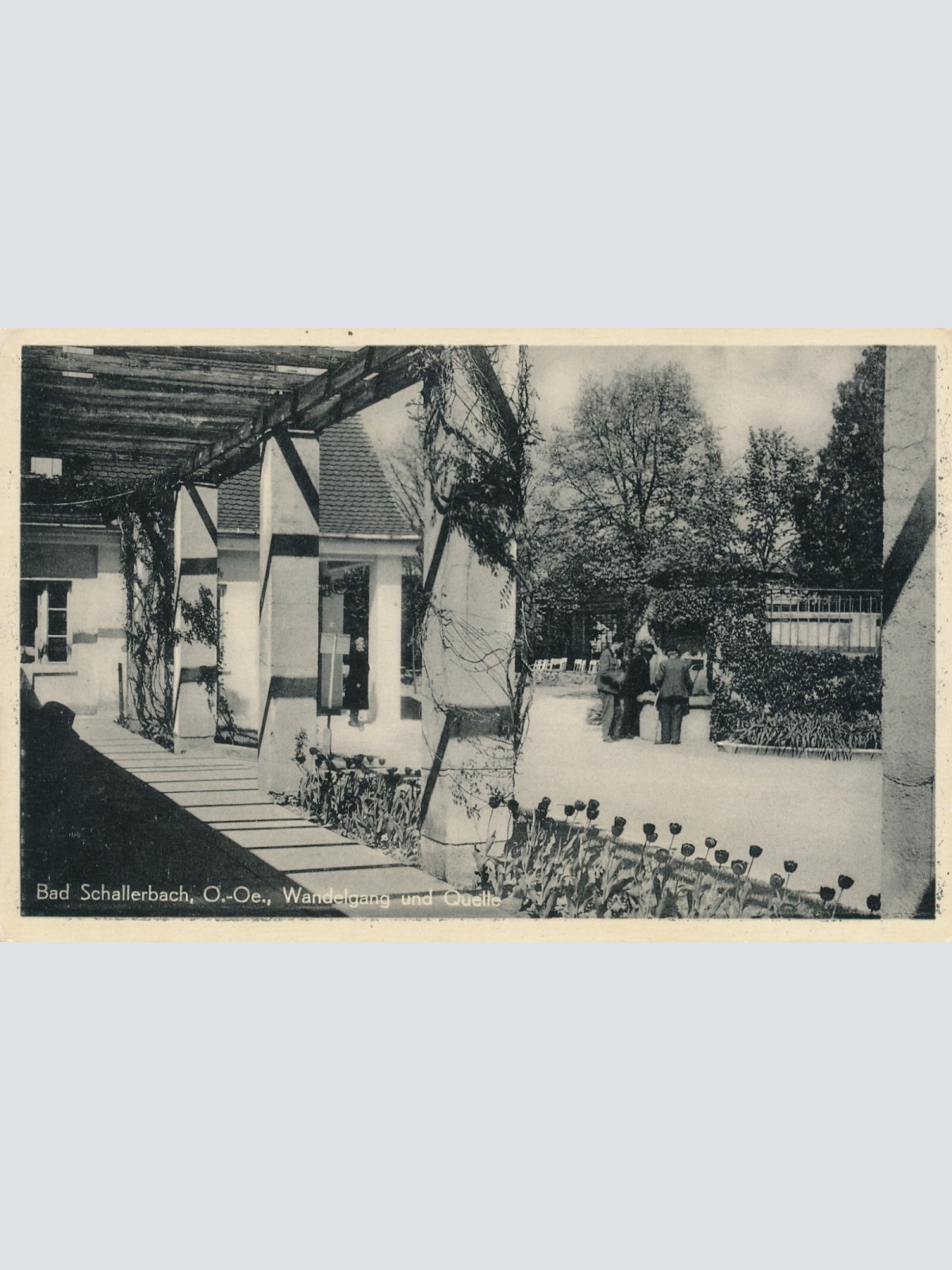 AK aus Bad Schallerbach Wandelgang Oberösterreich Ansichtskarte (10281)