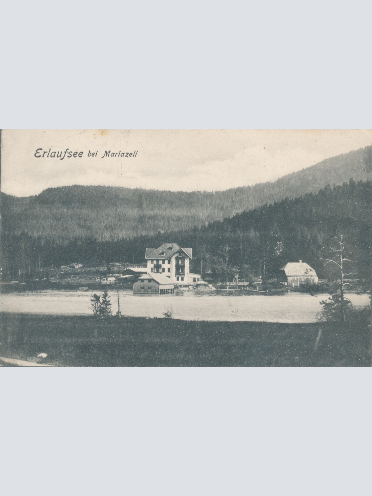 AK vom Erlaufsee bei Mariazell Steiermark Ansichtskarte (9598)