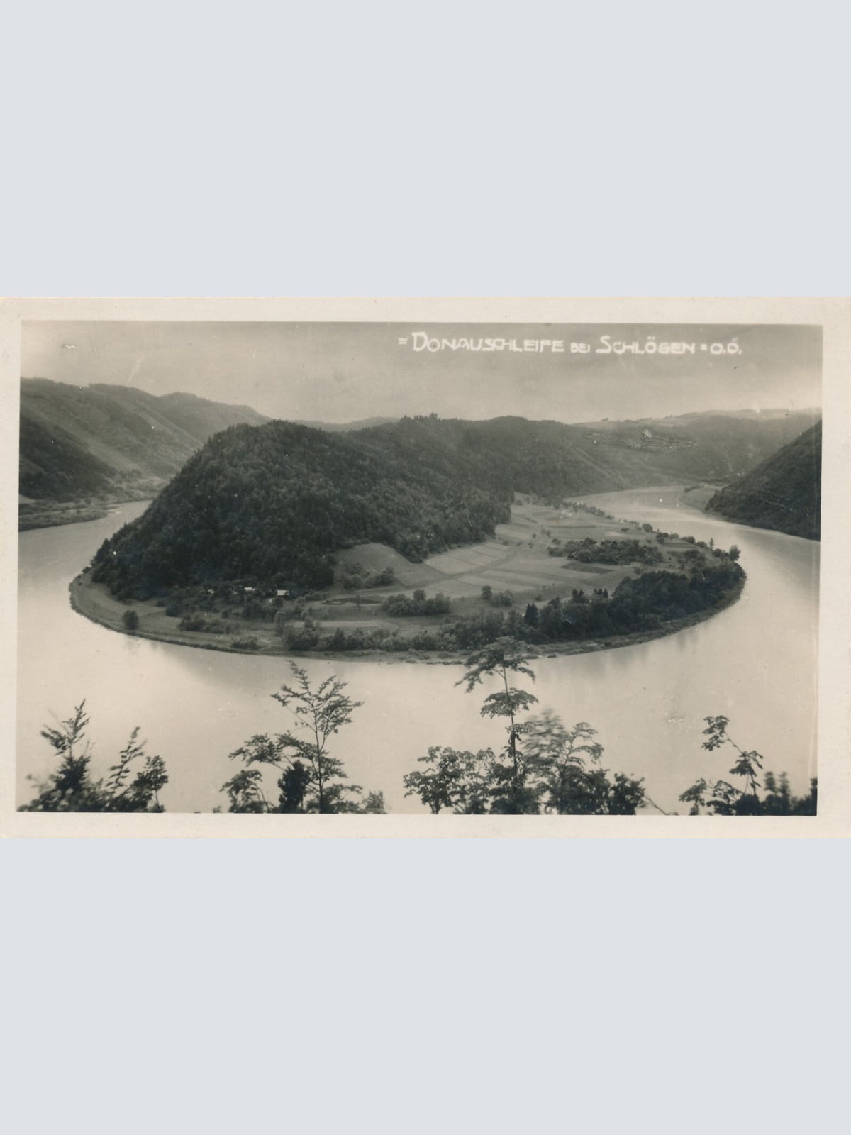 AK Donauschleife bei Schlögen Oberösterreich Ansichtskarte (10288)