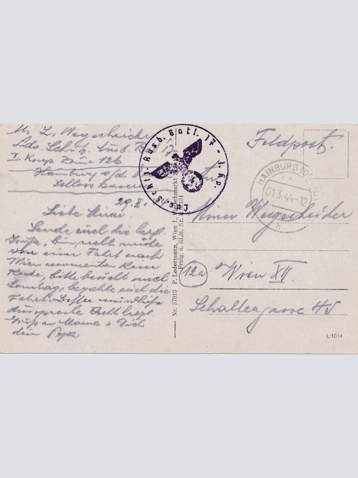 AK aus Hainburg Schloßberg Niederösterreich Ansichtskarte (10325)