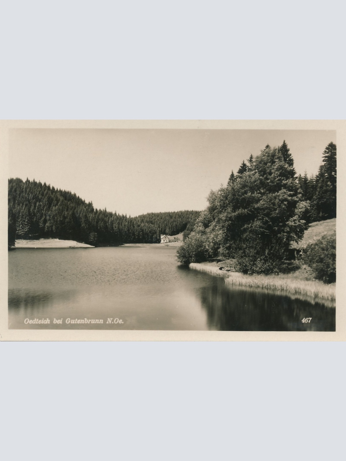 AK aus Oedteich bei Gutenbrunn Niederösterreich Ansichtskarte (10344)