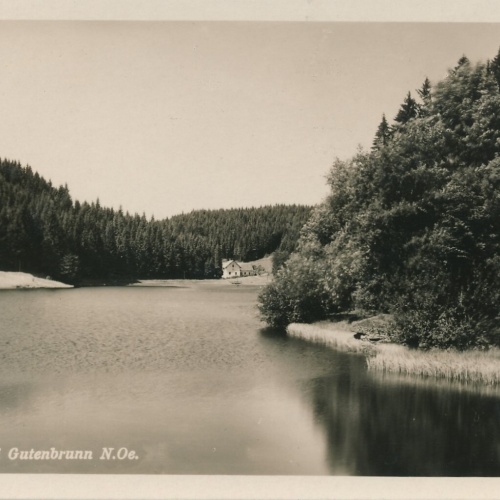 AK aus Oedteich bei Gutenbrunn Niederösterreich Ansichtskarte (10344)