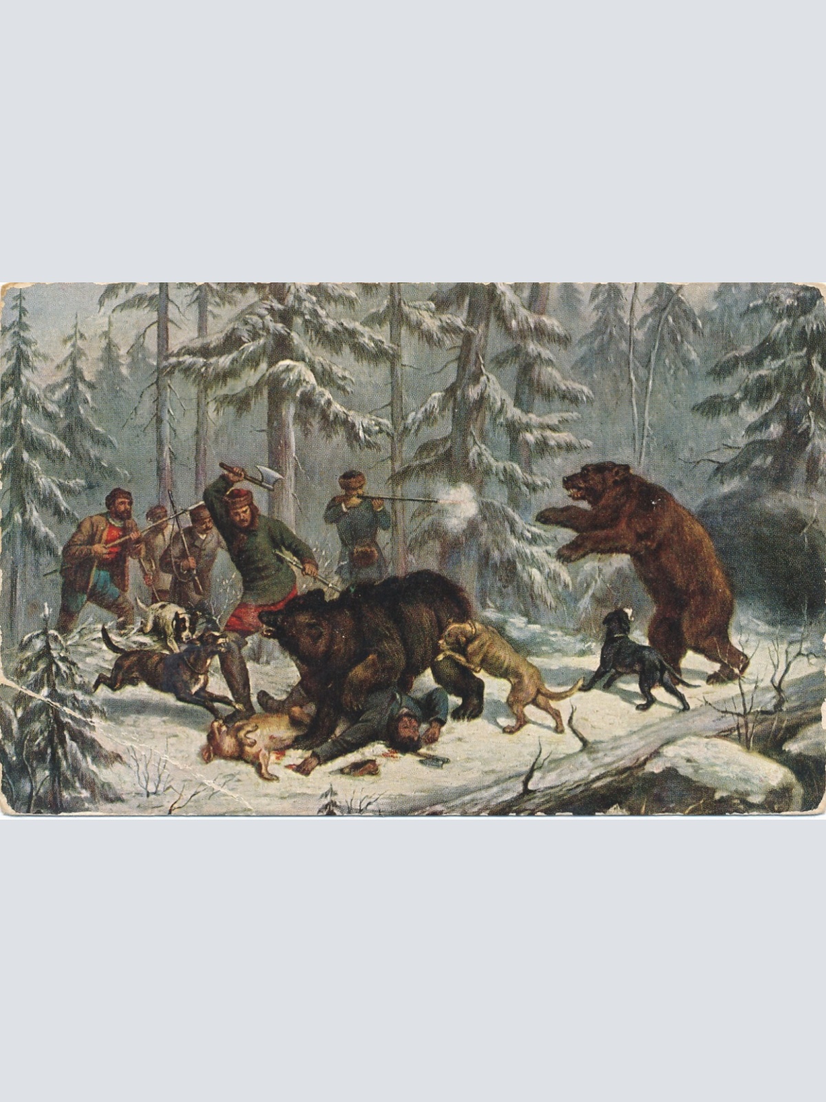 Motiv - Karte von einer Jagt mit Hunden und Bären Ansichtskarte (10045)